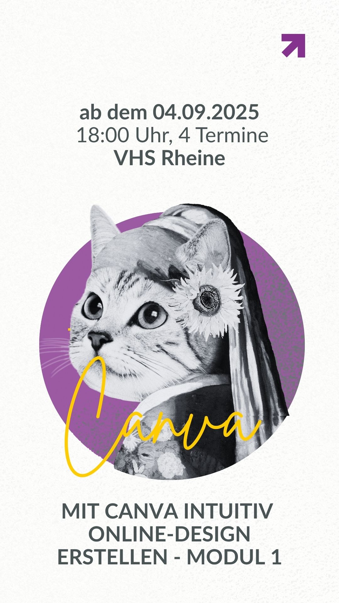 Geöffneter Computer mit gezeigter Website von "Schule der Vielfalt* Niedersachsen". Das Design zeigt oben das Logo mit einem bunten Kreis aus Linien und dem Schriftzug „Schule der Vielfalt Niedersachsen“. Darunter eine stilisierte Karte Niedersachsens aus weißen Punkten und Linien auf pink-violettem Farbverlauf. Der Slogan „Vielfalt* lernen. Verstehen. Leben.“ ist prominent in weißer Schrift zu sehen.